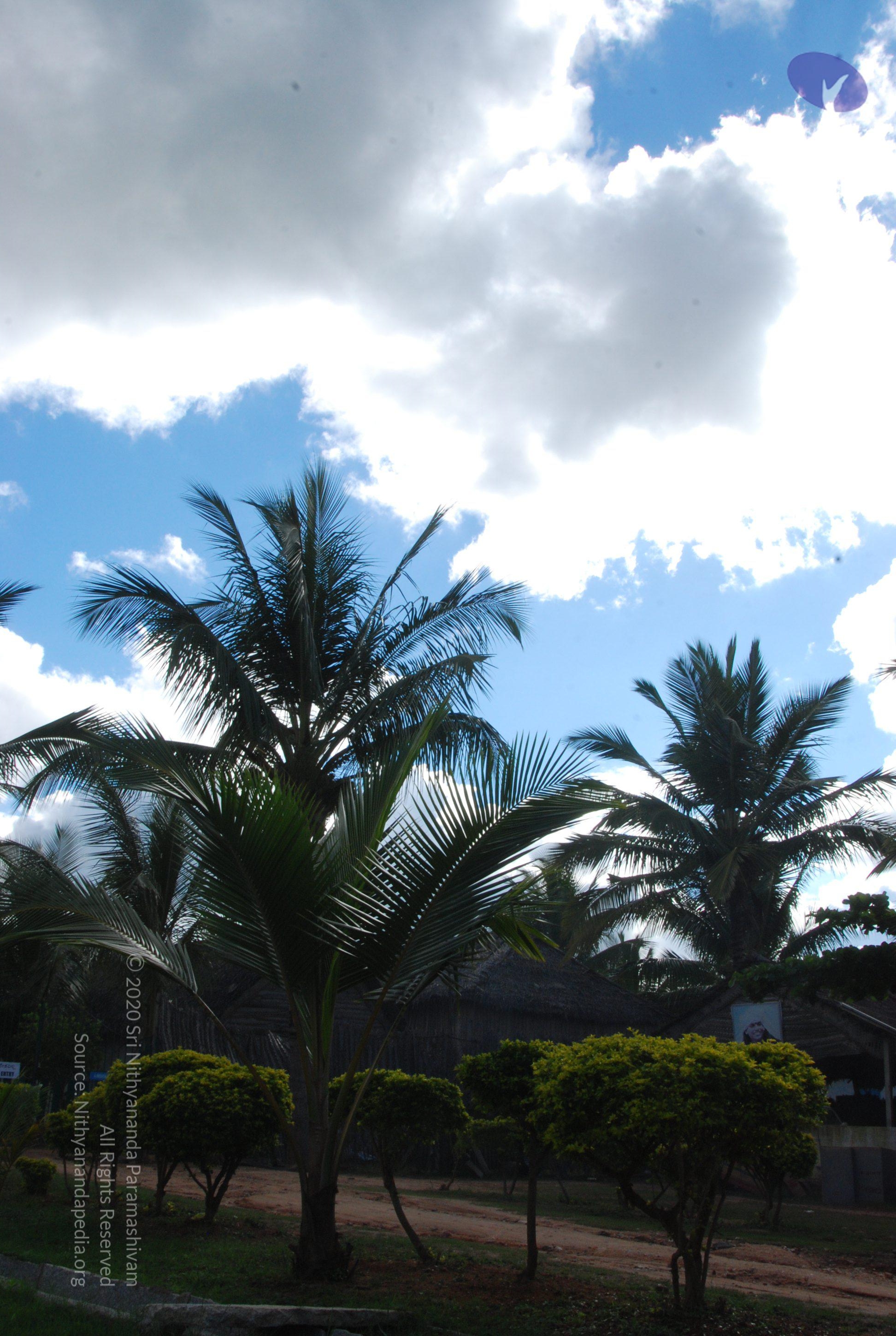 20101005_Photo_1152_DSC_7240_CMP_WM