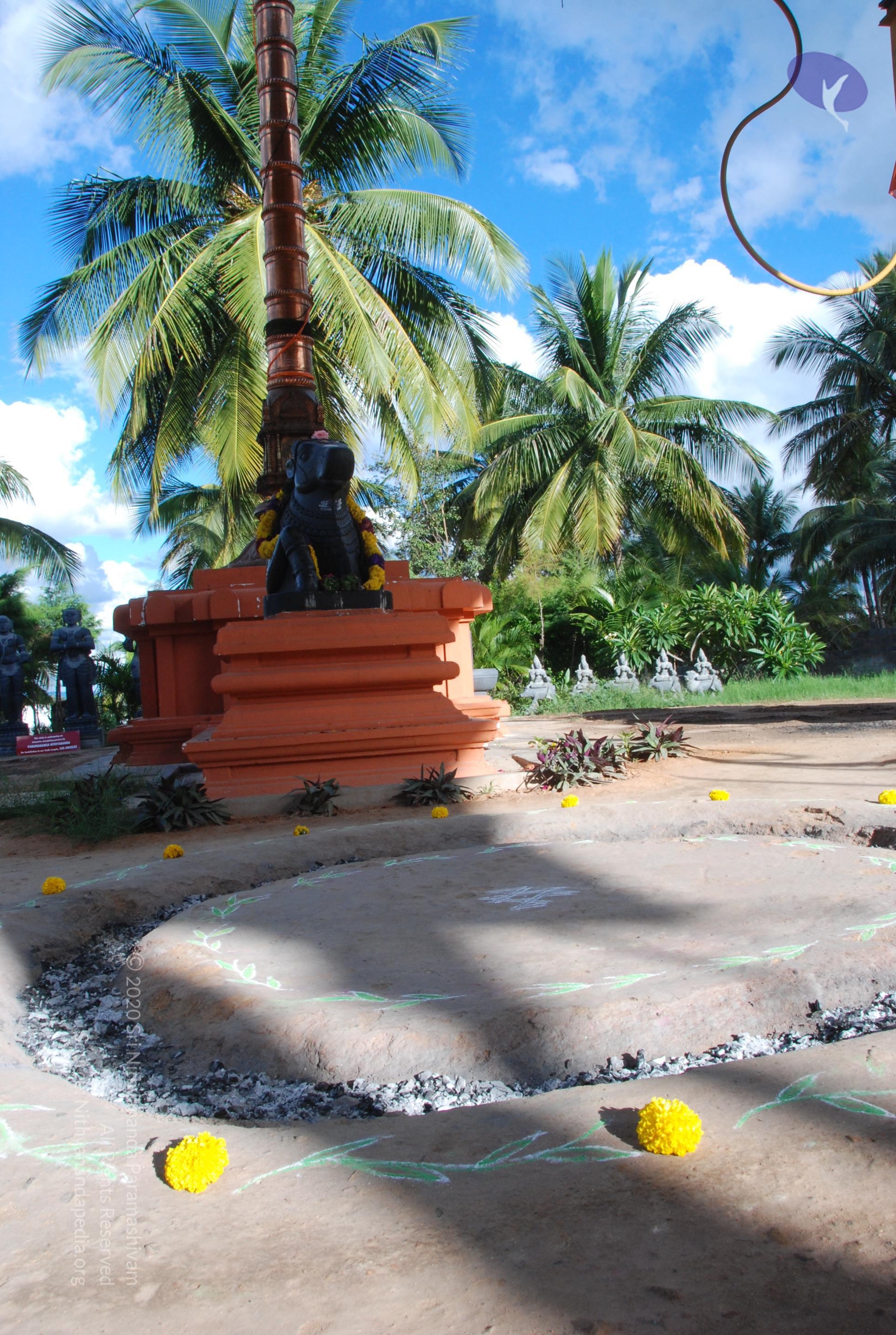 20101005_Photo_1155_DSC_7291_CMP_WM