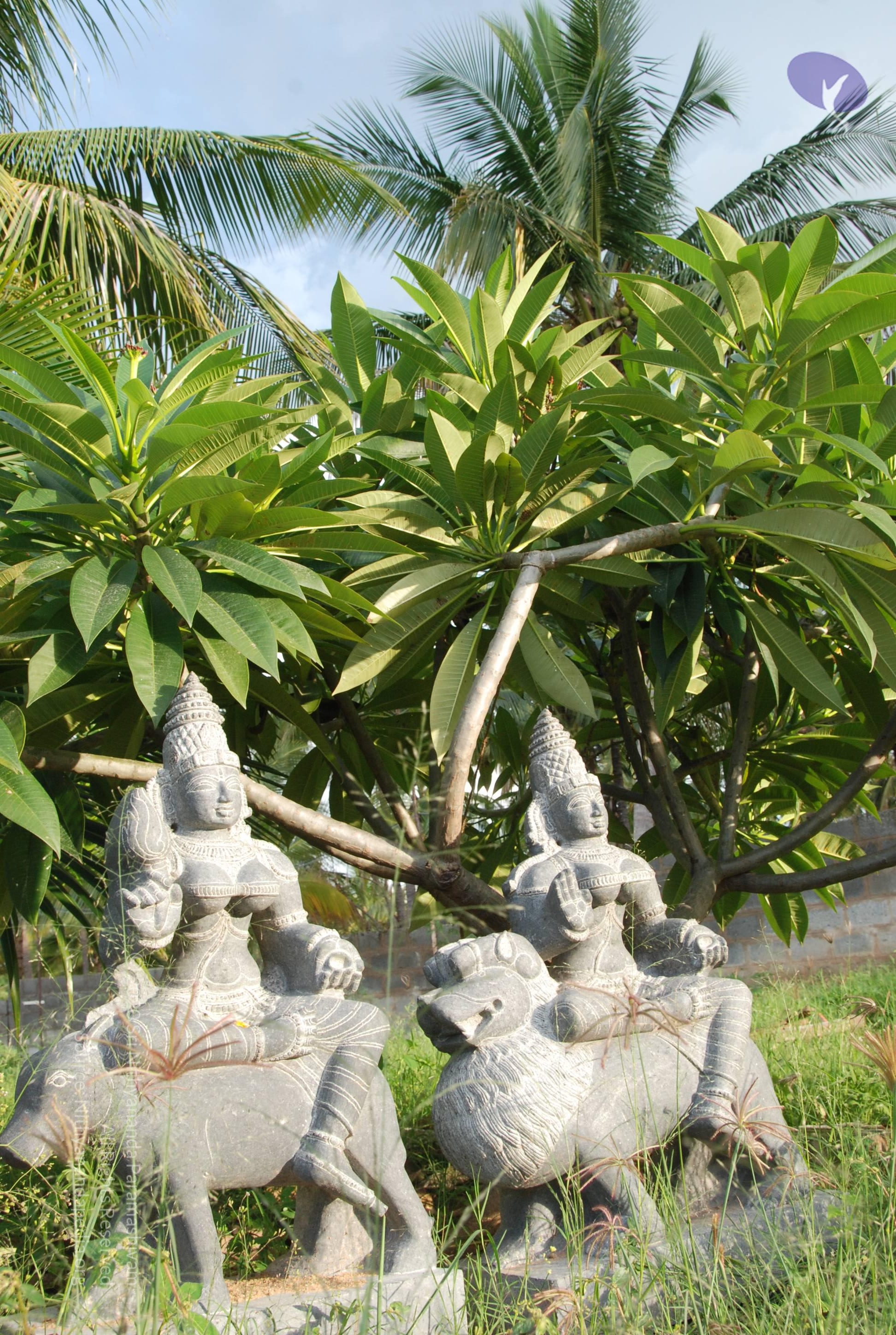 20101005_Photo_1156_DSC_7418_CMP_WM