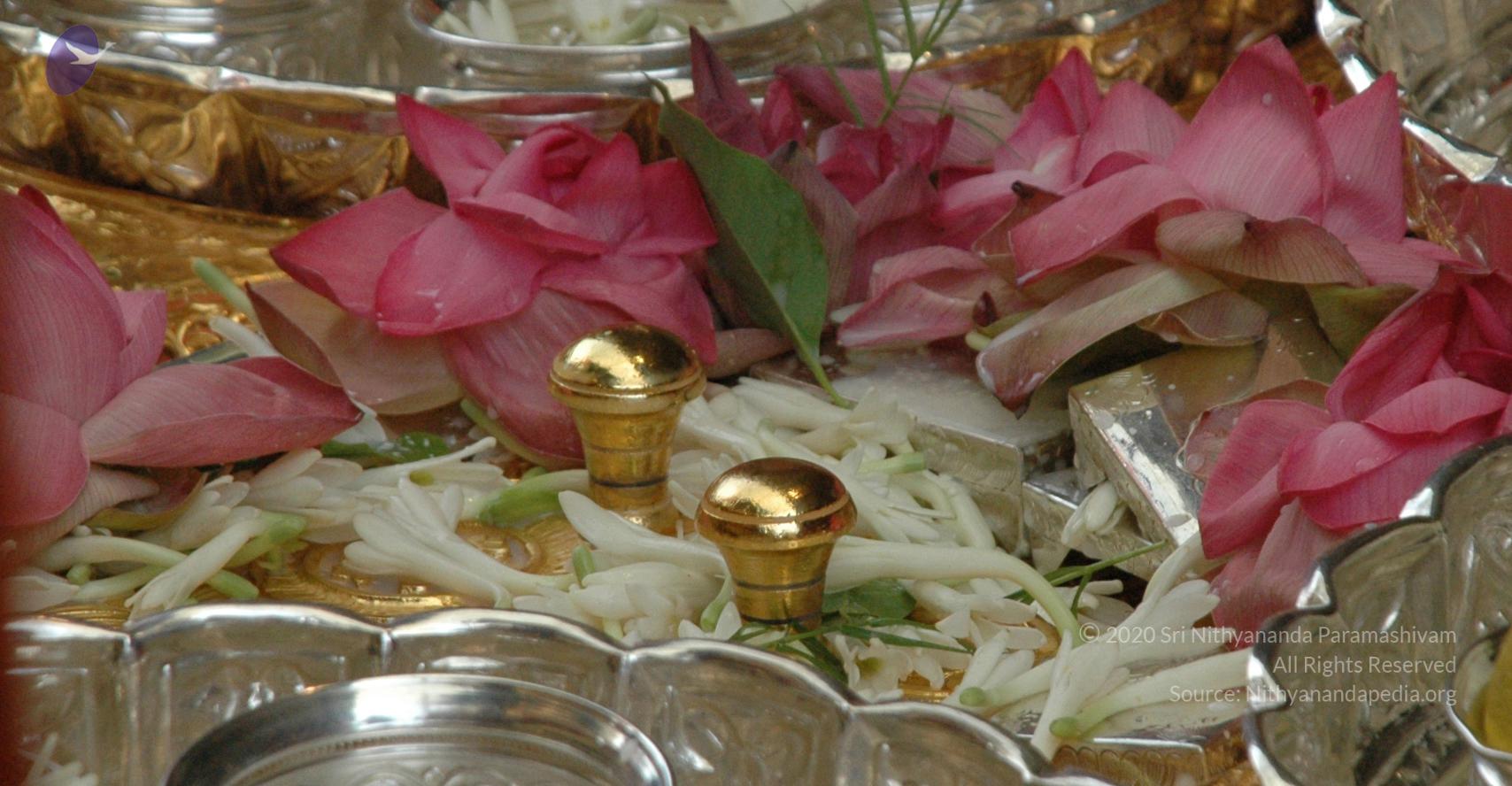 20101005_Photo_1157_DSC_7746_CMP_WM