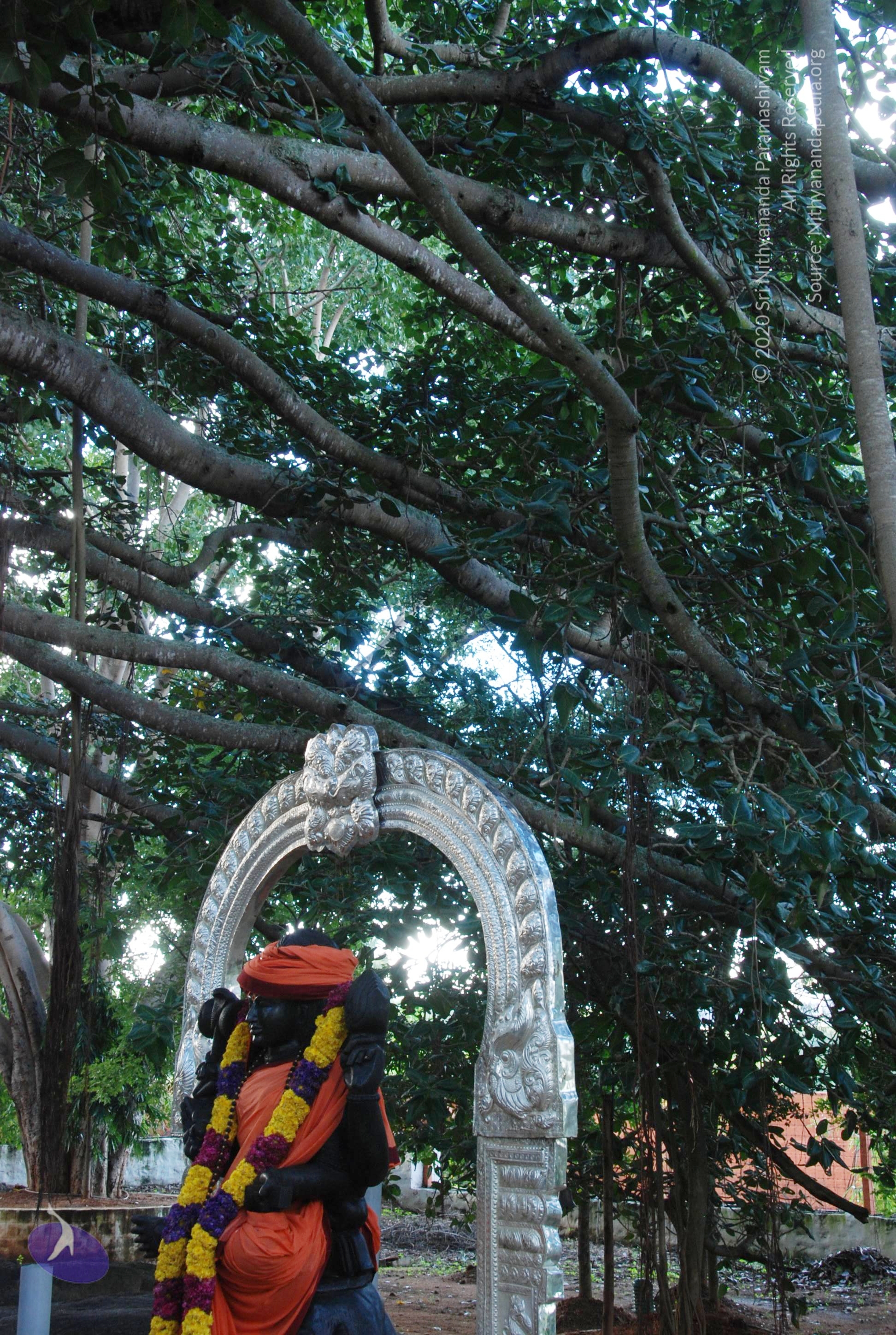 20101005_Photo_1159_DSC_7318_CMP_WM