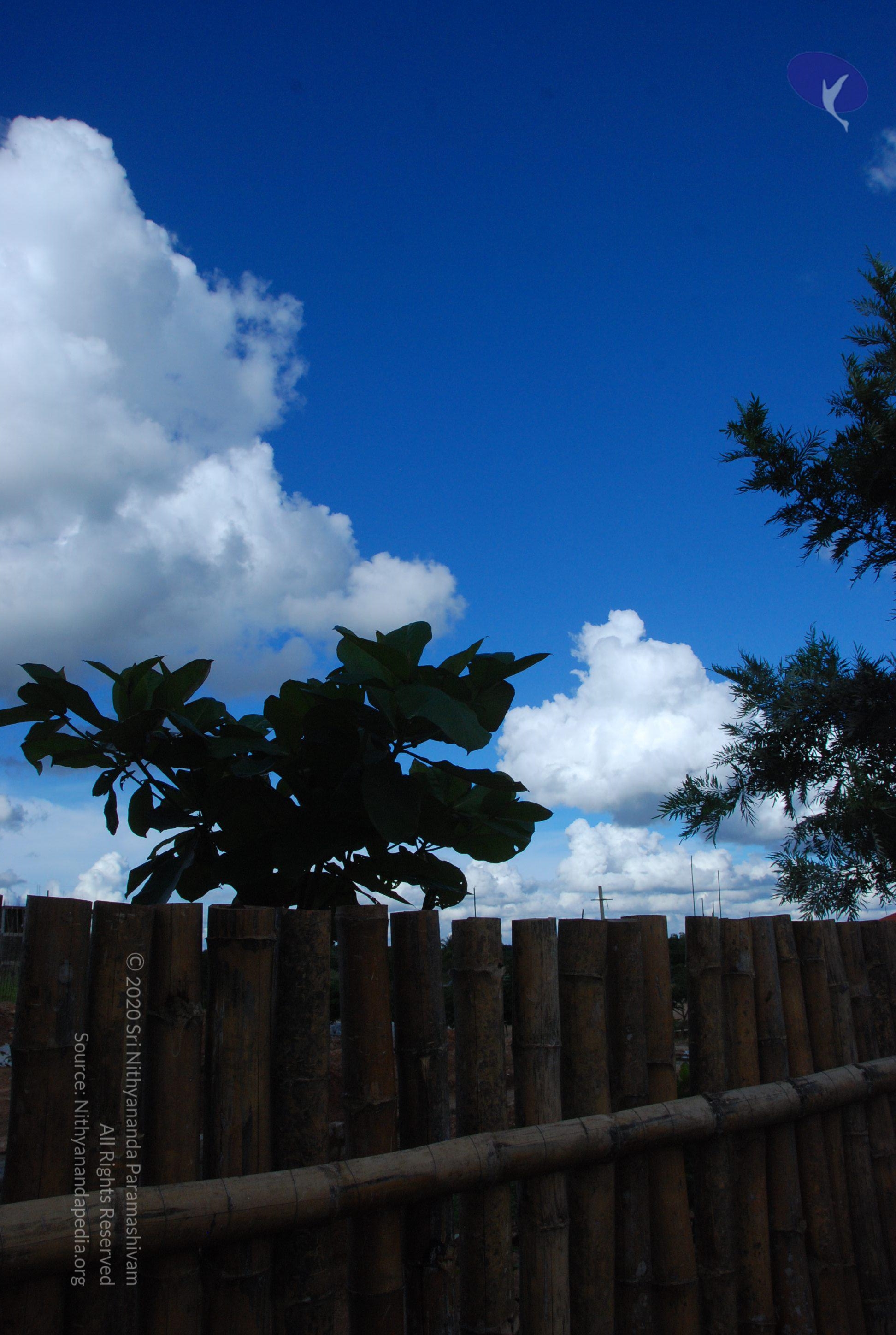 20101005_Photo_1165_DSC_7272_CMP_WM