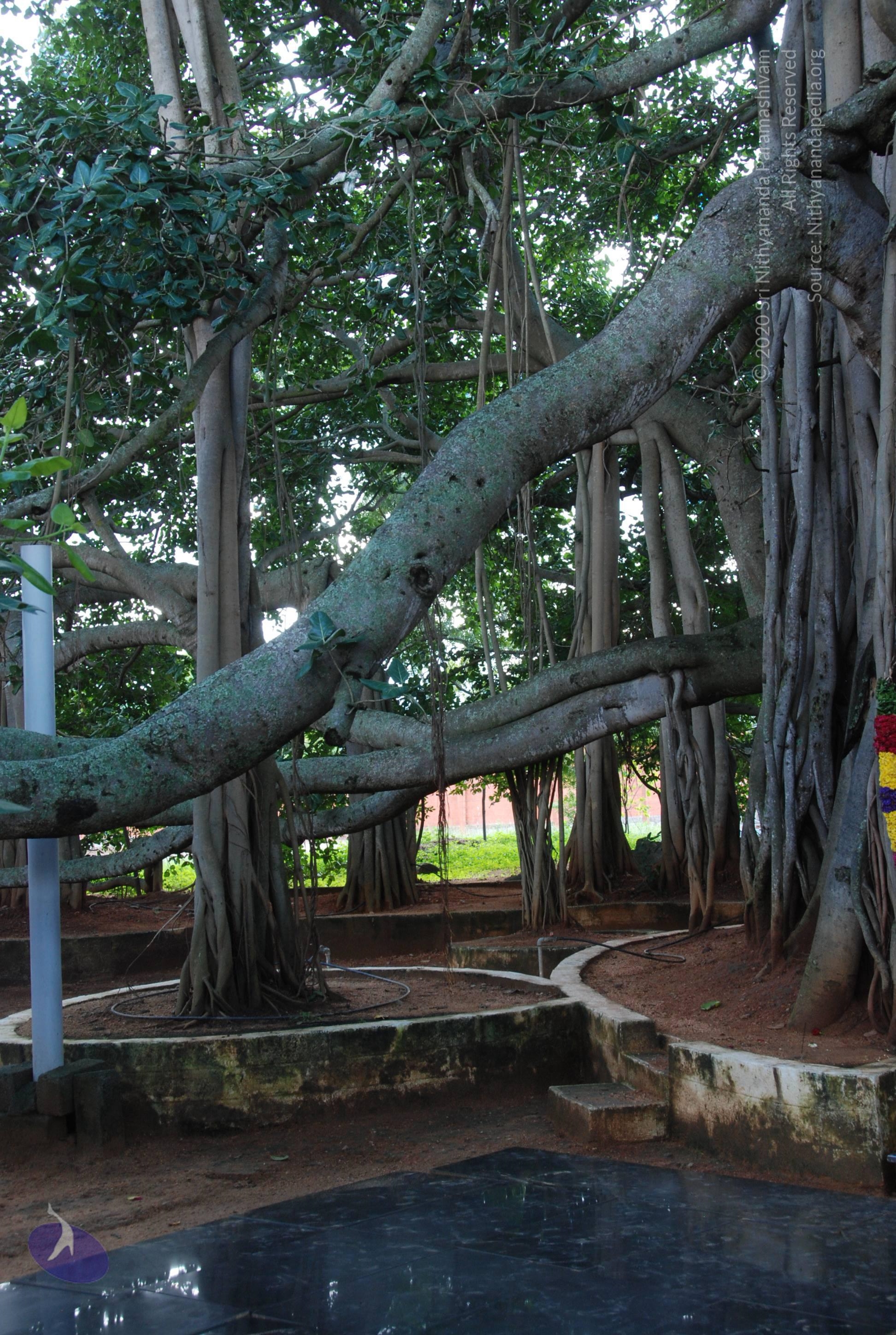 20101005_Photo_1167_DSC_7315_CMP_WM