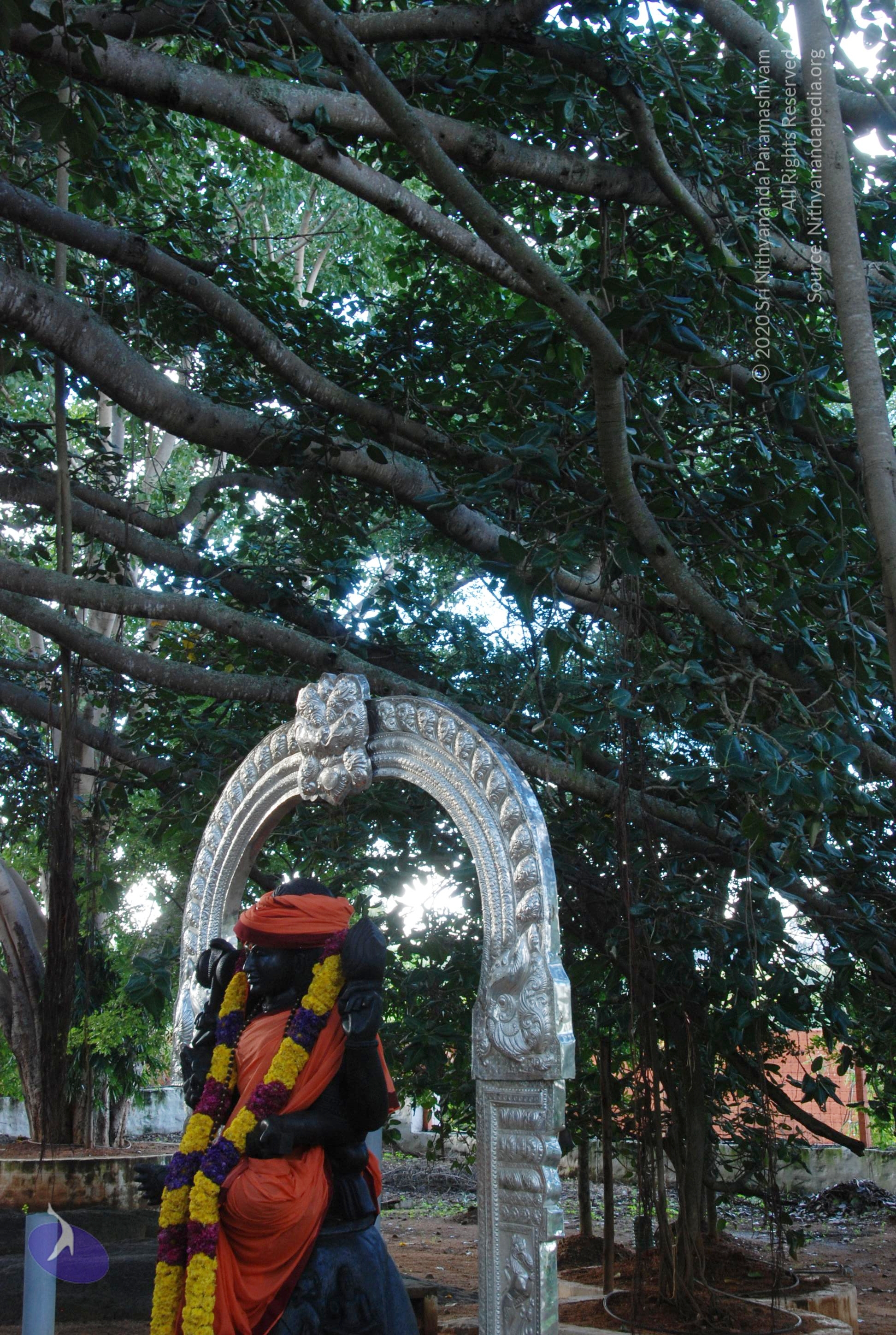 20101005_Photo_1168_DSC_7322_CMP_WM