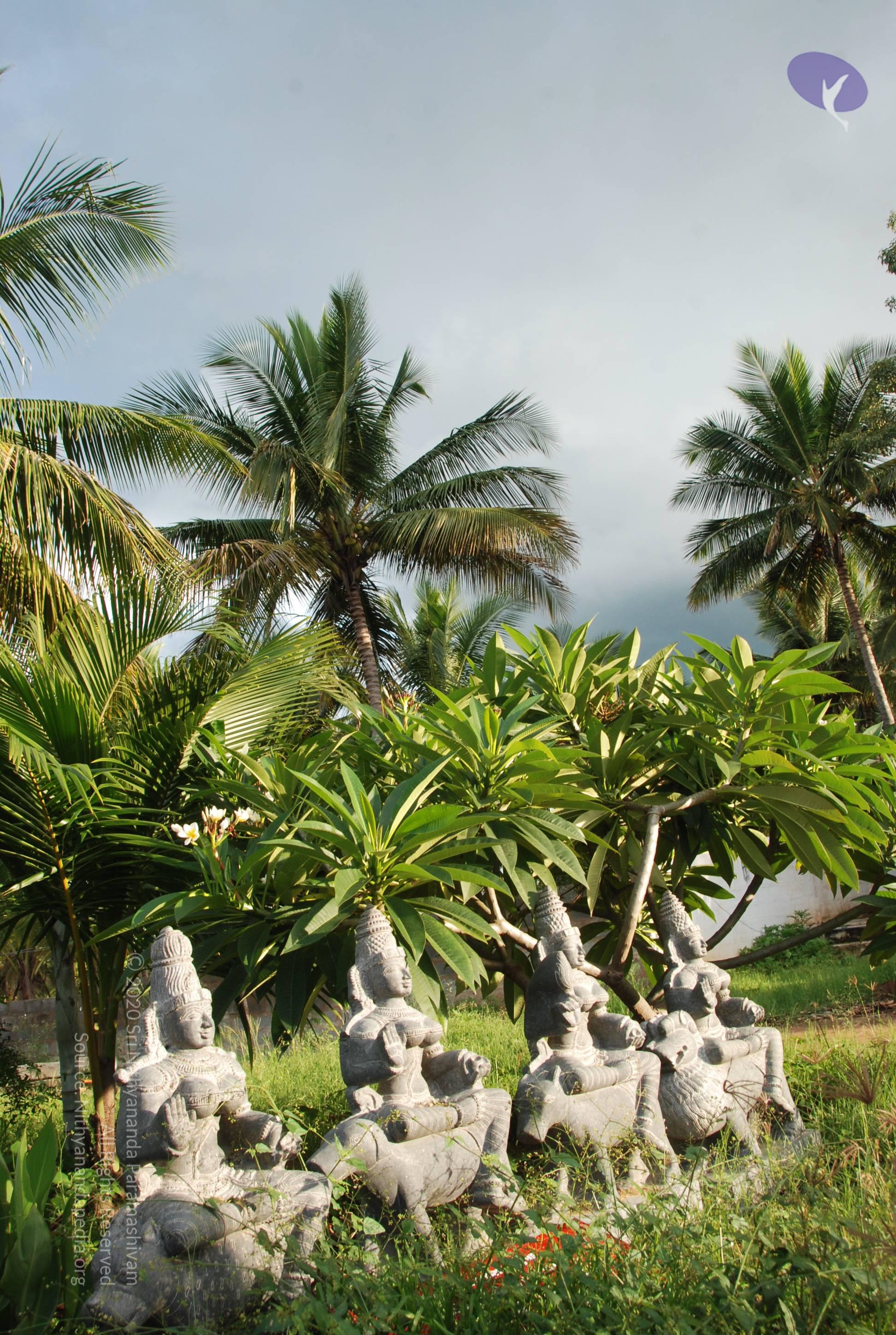 20101005_Photo_1170_DSC_7415_CMP_WM