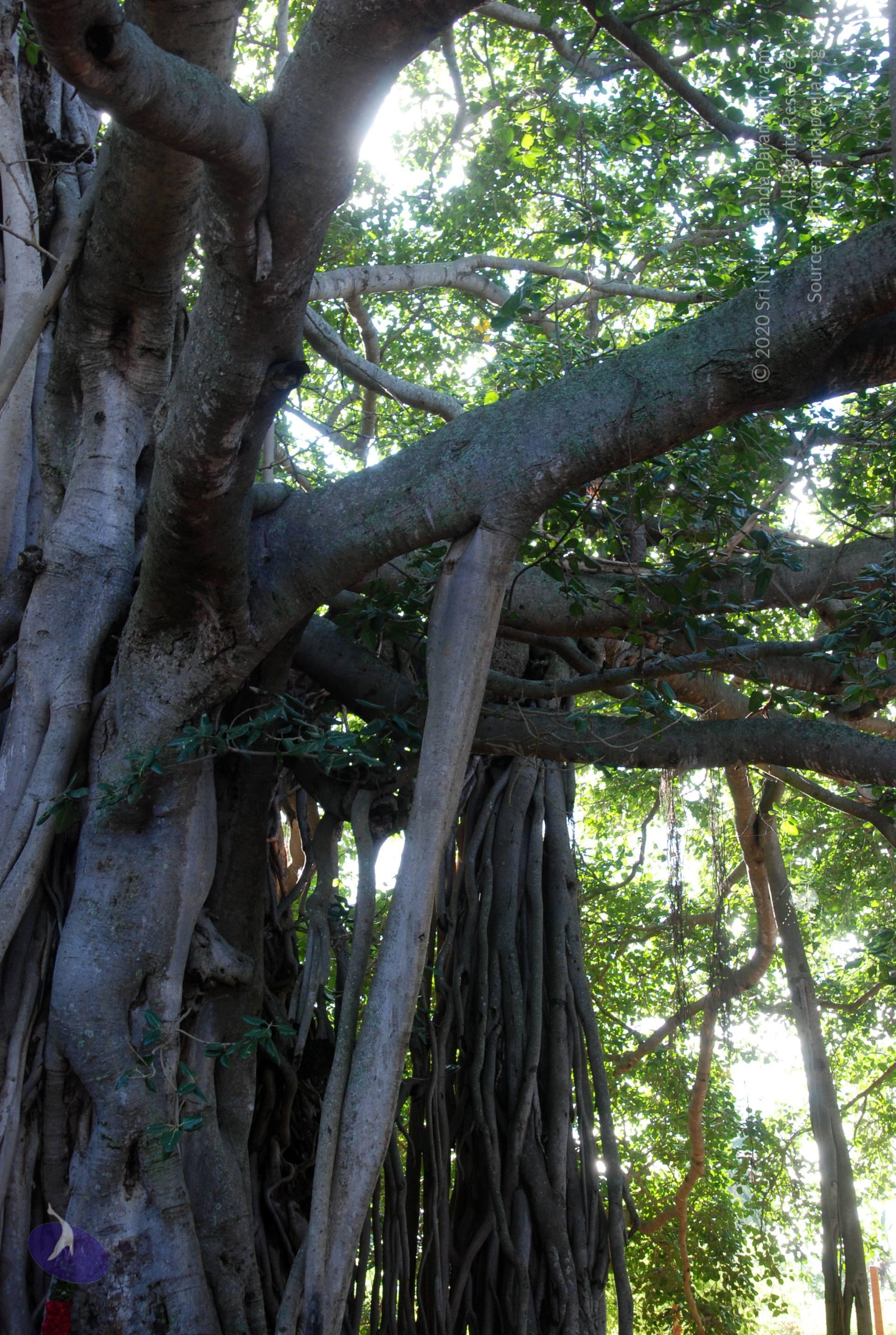 20101005_Photo_1171_DSC_7377_CMP_WM