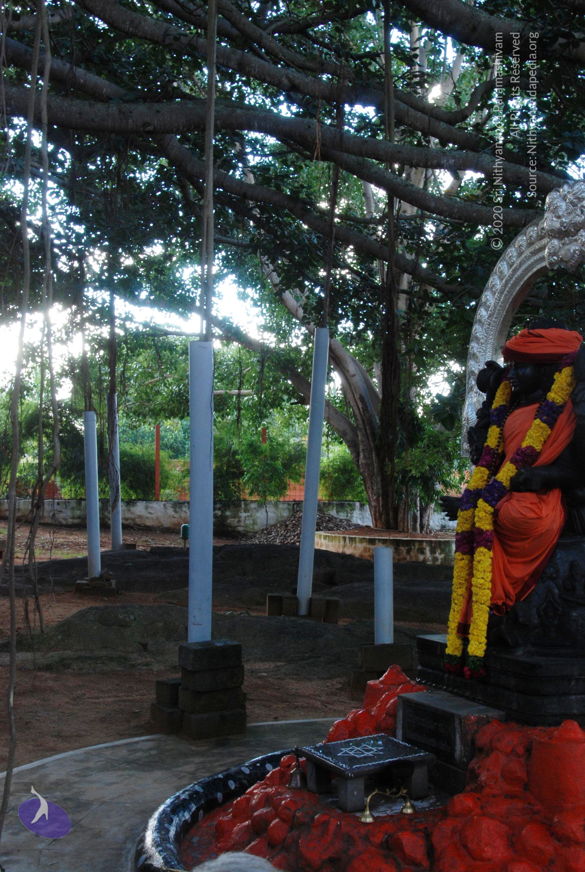 20101005_Photo_1175_DSC_7309_CMP_WM