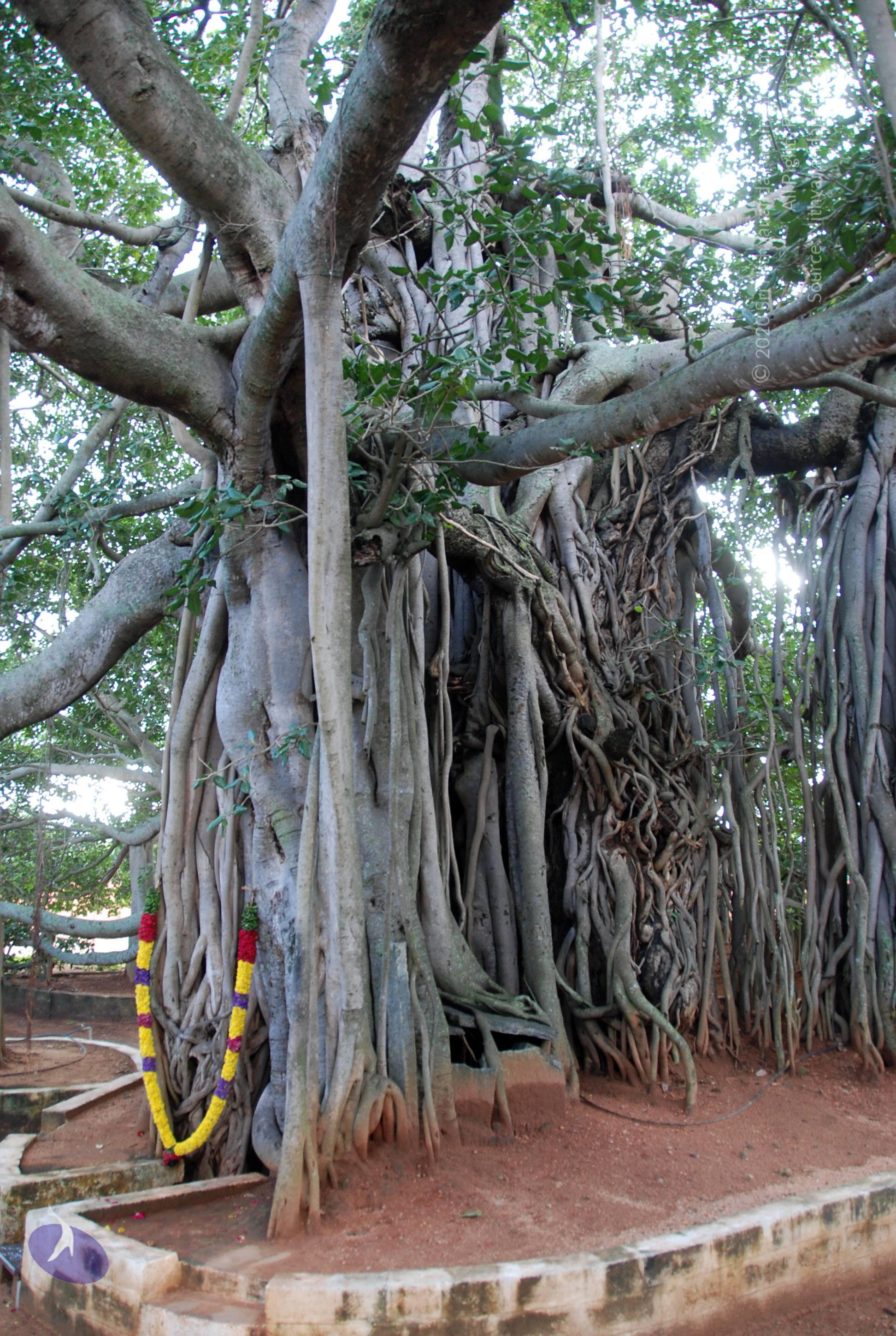 20101005_Photo_1177_DSC_7409_CMP_WM