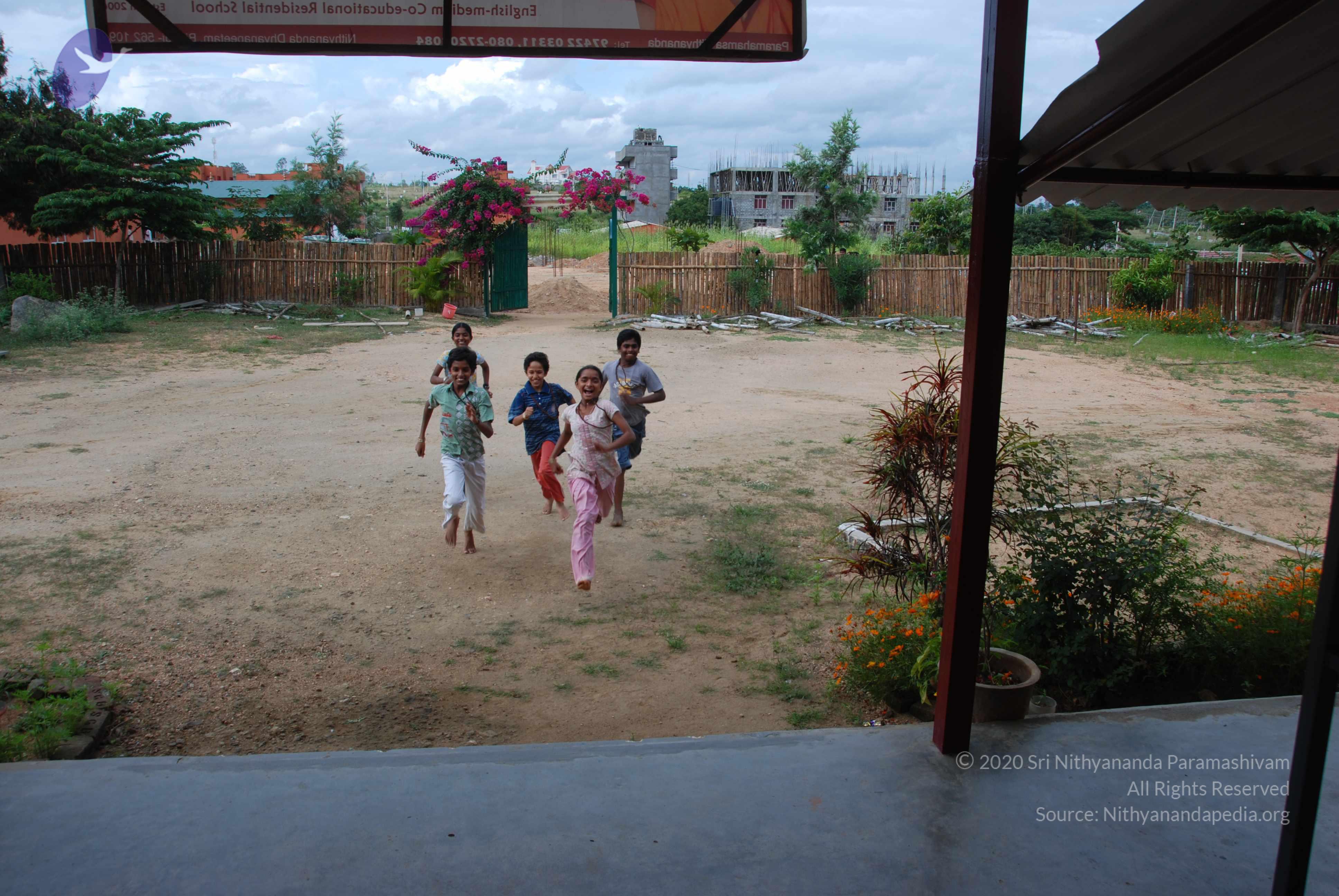 20101005_Photo_1179_DSC_6958_CMP_WM