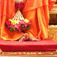 20101005_Photo_1037_DSCN4774_CMP_WM