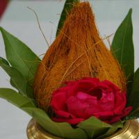 20101005_Photo_1049_DSC_7873_CMP_WM