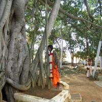 20101005_Photo_1053_DSCN4752_CMP_WM