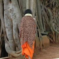 20101005_Photo_1055_DSC_7919_CMP_WM