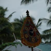 20101005_Photo_1085_DSC_7879_CMP_WM