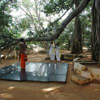 20101005_Photo_1100_DSC_7921_CMP_WM