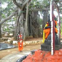 20101005_Photo_1117_DSCN4750_CMP_WM