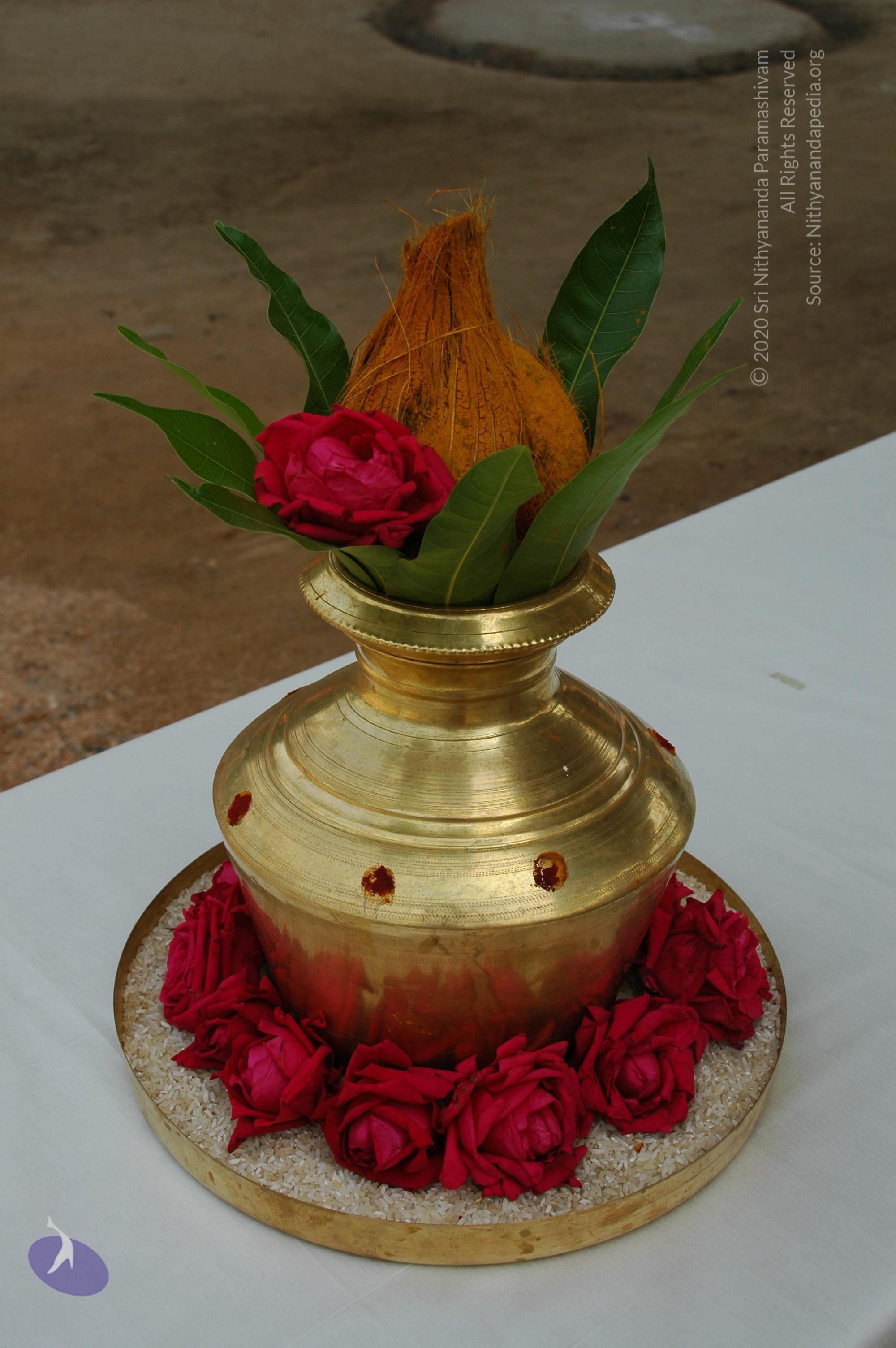 20101005_Photo_1201_DSC_7839_CMP_WM