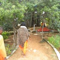 20101005_Photo_1216_DSCN4748_CMP_WM