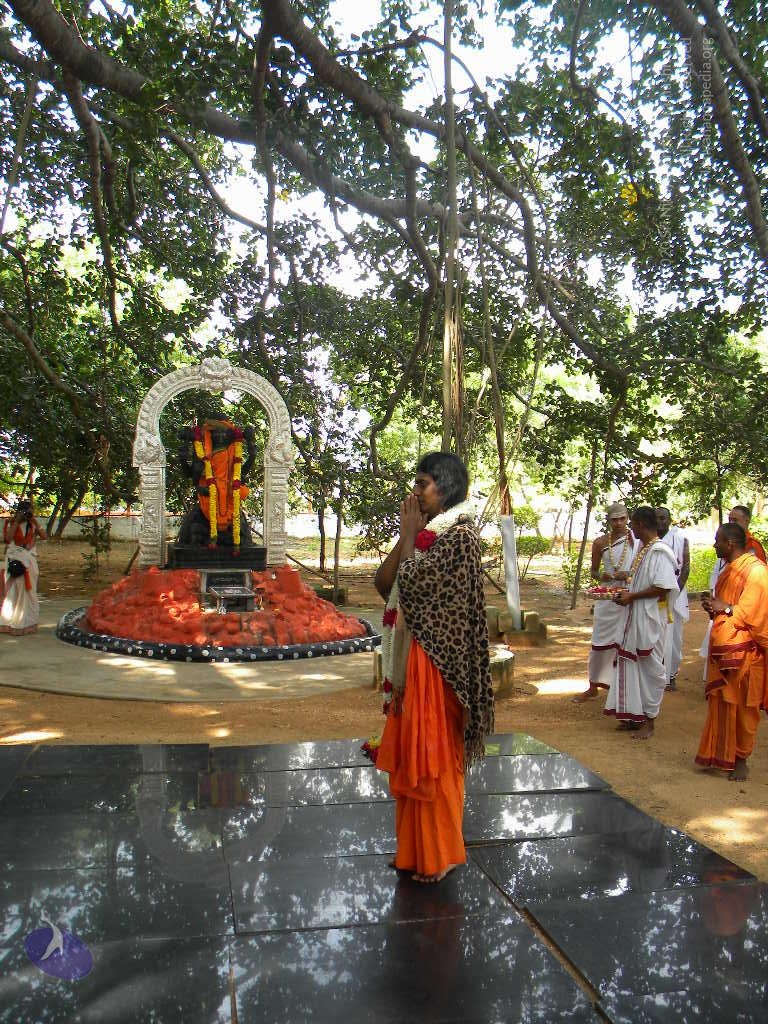 20101005_Photo_1227_DSCN4754_CMP_WM