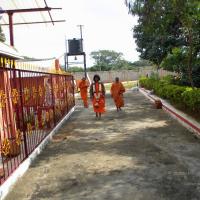 20101005_Photo_1230_DSCN4745_CMP_WM