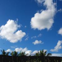 20101005_Photo_1026_DSC_7279_CMP_WM