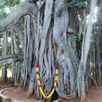 20101005_Photo_1029_DSC_7313_CMP_WM