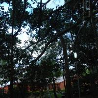 20101005_Photo_1031_DSC_7413_CMP_WM