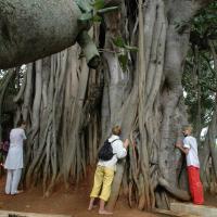 20101005_Photo_1037_DSC_7811_CMP_WM