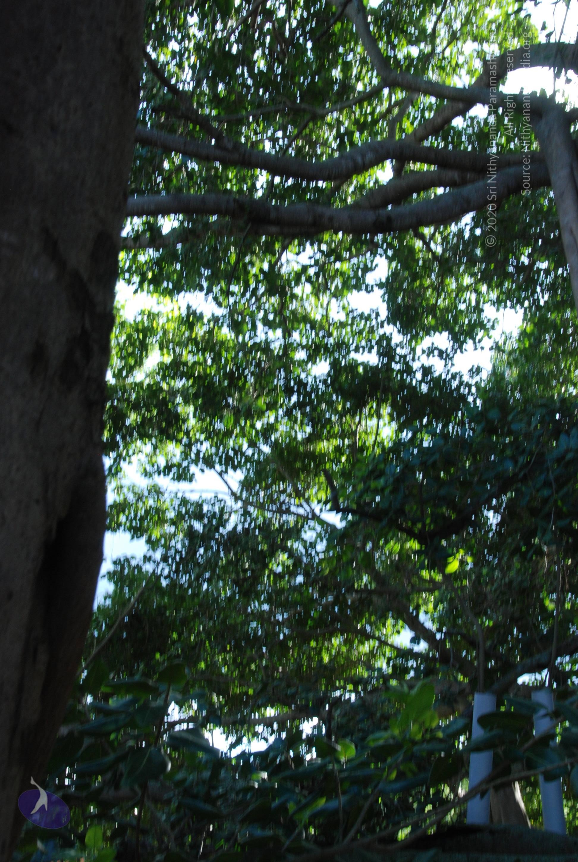 20101005_Photo_1038_DSC_7357_CMP_WM