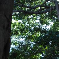 20101005_Photo_1038_DSC_7357_CMP_WM