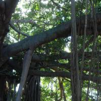 20101005_Photo_1039_DSC_7360_CMP_WM