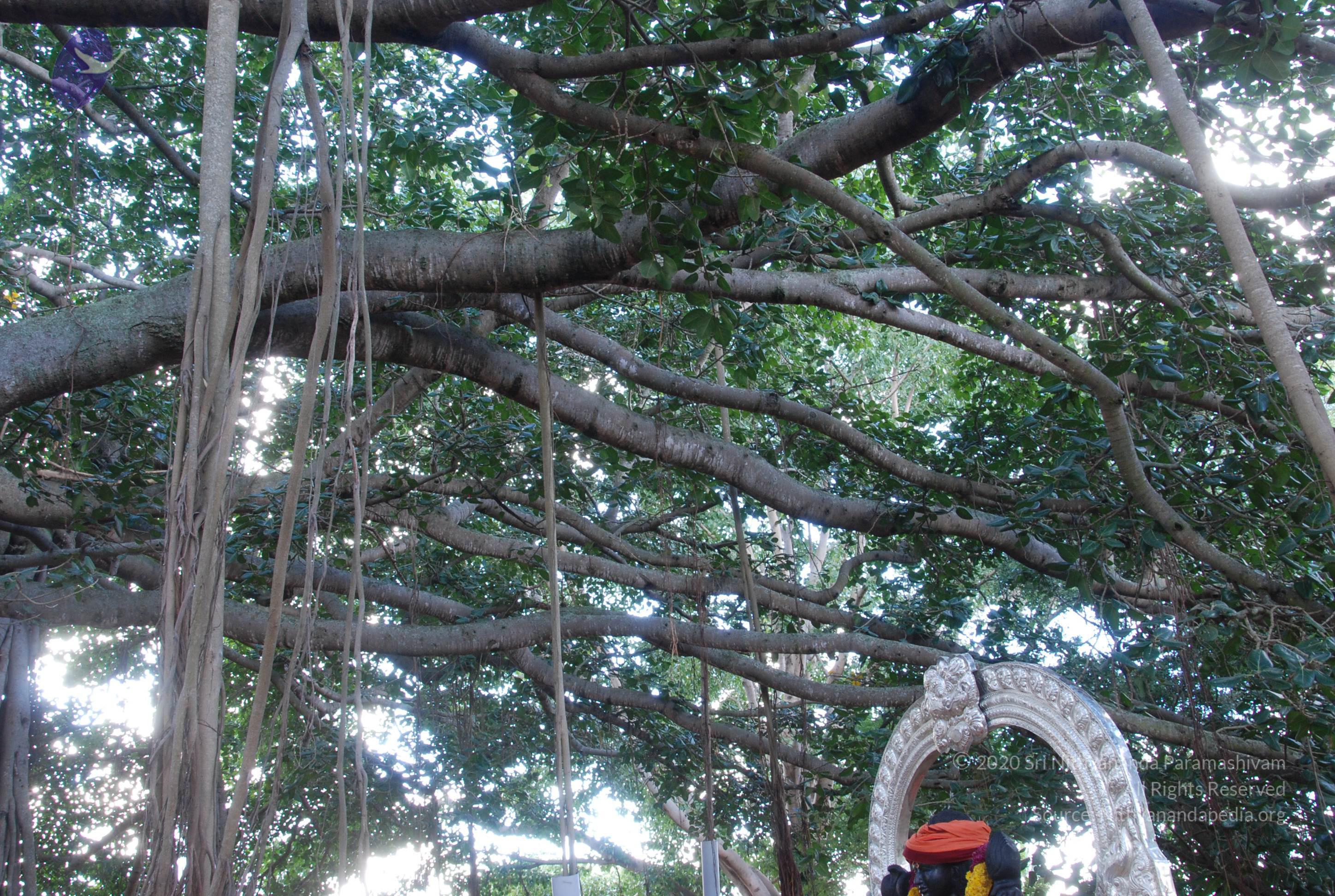 20101005_Photo_1041_DSC_7302_CMP_WM