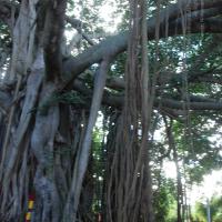 20101005_Photo_1063_DSC_7395_CMP_WM