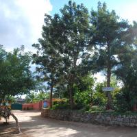 20101005_Photo_1064_DSC_7281_CMP_WM