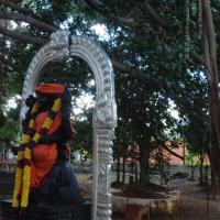 20101005_Photo_1067_DSC_7308_CMP_WM