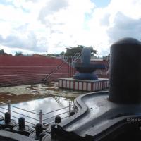 20101005_Photo_1097_DSC_7253_CMP_WM