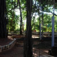 20101005_Photo_1098_DSC_7370_CMP_WM