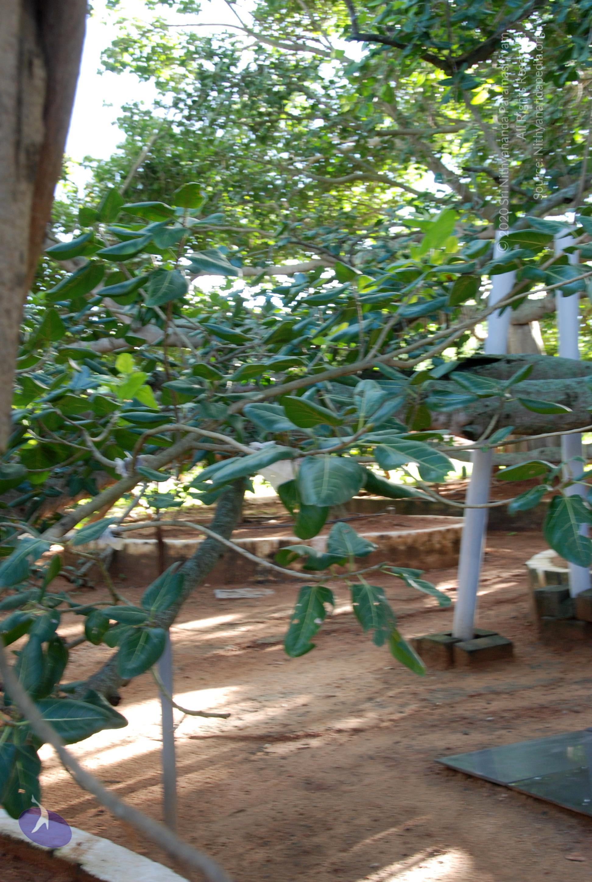 20101005_Photo_1100_DSC_7356_CMP_WM