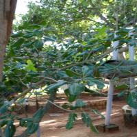 20101005_Photo_1100_DSC_7356_CMP_WM