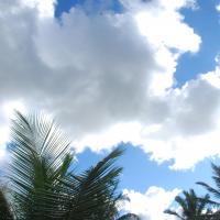 20101005_Photo_1102_DSC_7242_CMP_WM