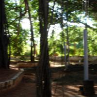 20101005_Photo_1116_DSC_7353_CMP_WM