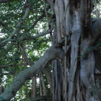 20101005_Photo_1117_DSC_7331_CMP_WM