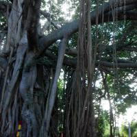 20101005_Photo_1124_DSC_7396_CMP_WM