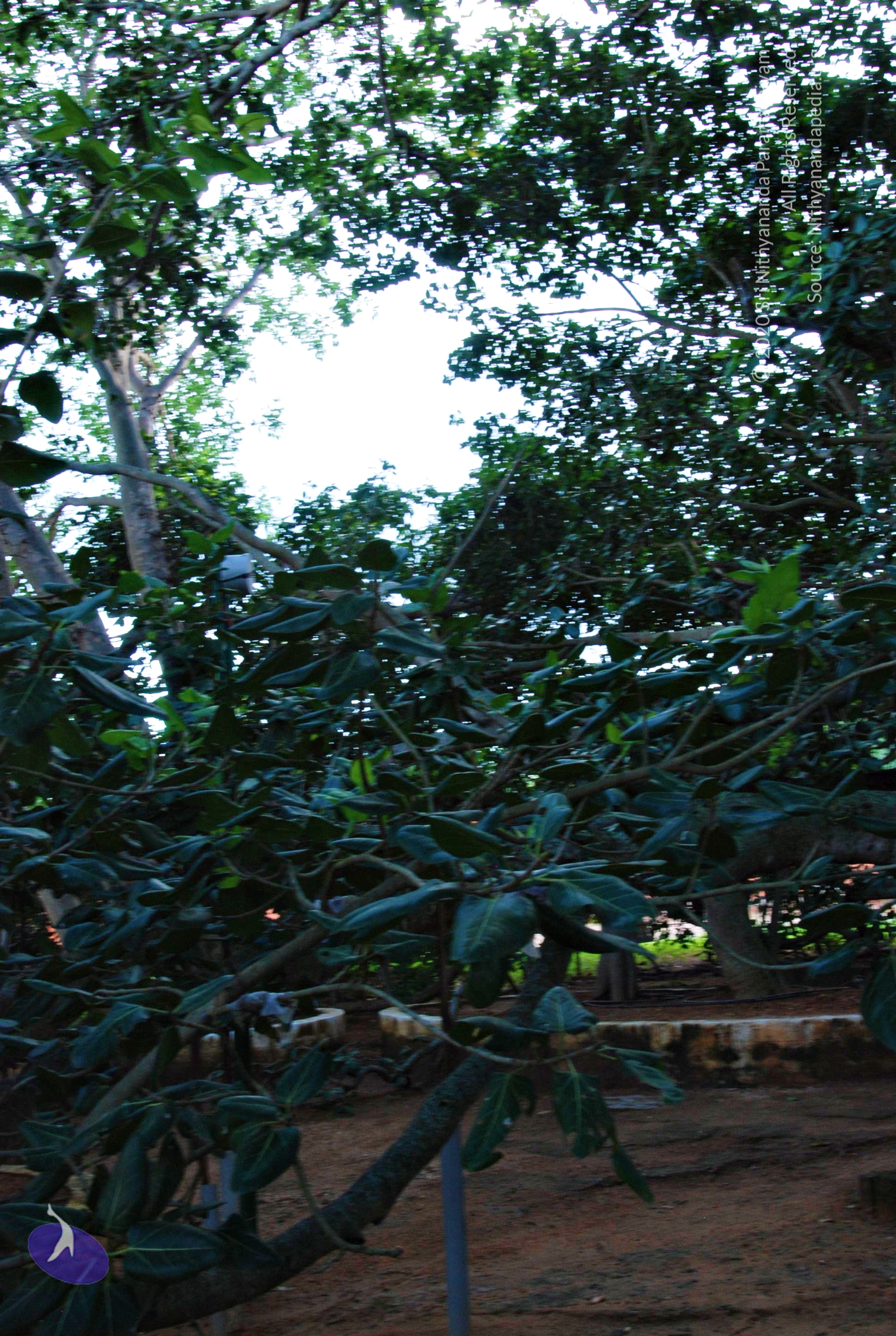 20101005_Photo_1128_DSC_7317_CMP_WM