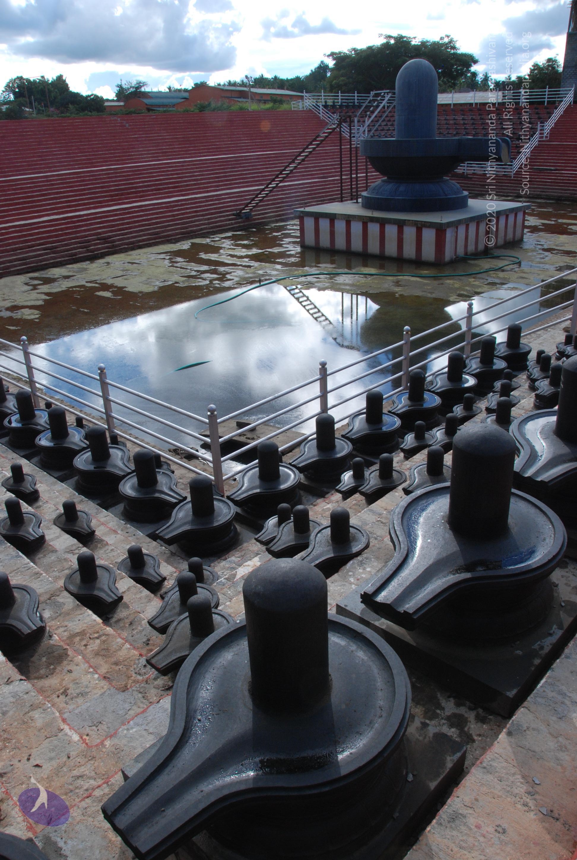 20101005_Photo_1131_DSC_7256_CMP_WM