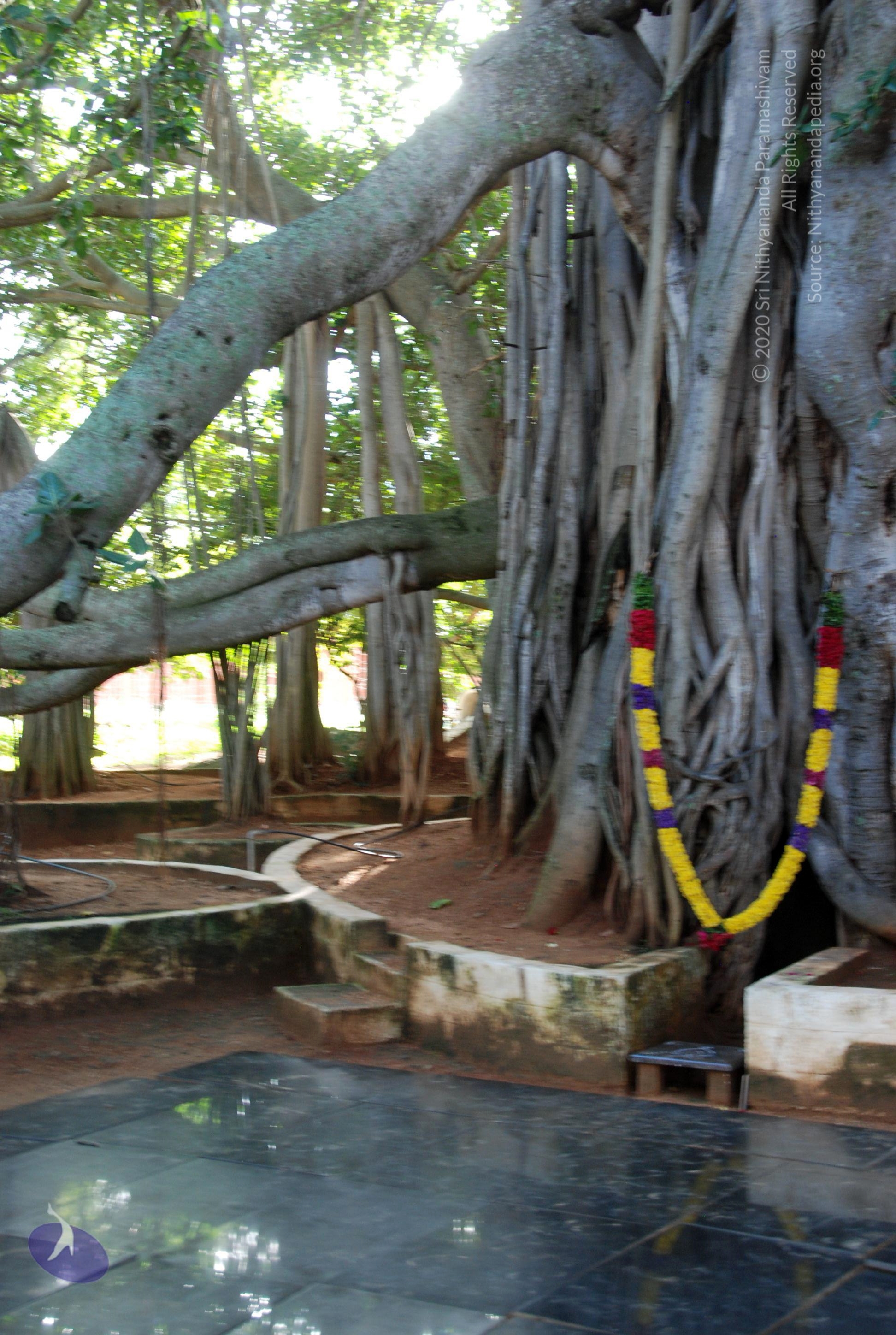 20101005_Photo_1142_DSC_7372_CMP_WM