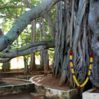 20101005_Photo_1142_DSC_7372_CMP_WM