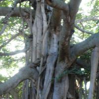 20101005_Photo_1144_DSC_7359_CMP_WM