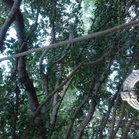 20101005_Photo_1147_DSC_7348_CMP_WM