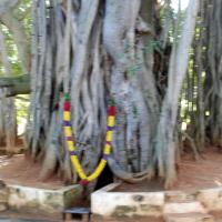 20101005_Photo_1150_DSC_7354_CMP_WM